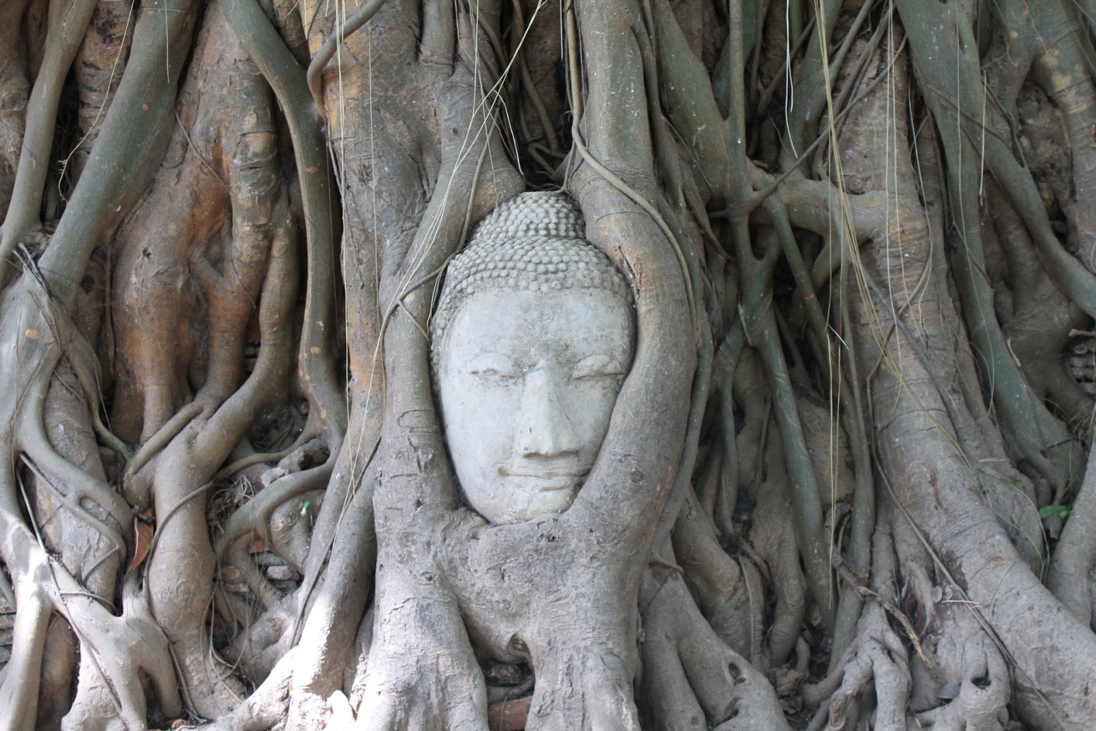 Wat Phra Mahathat, Thailand